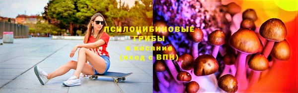 гидра Богданович