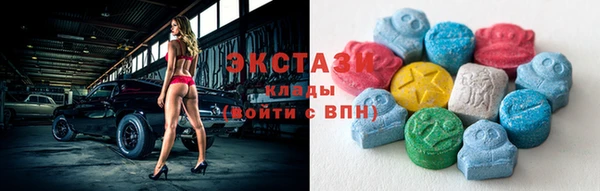 гидра Богданович