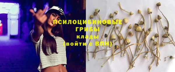 марки lsd Богородицк