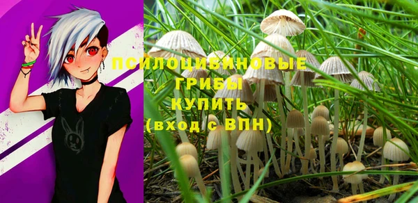 гидра Богданович