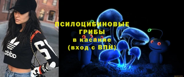 гидра Богданович