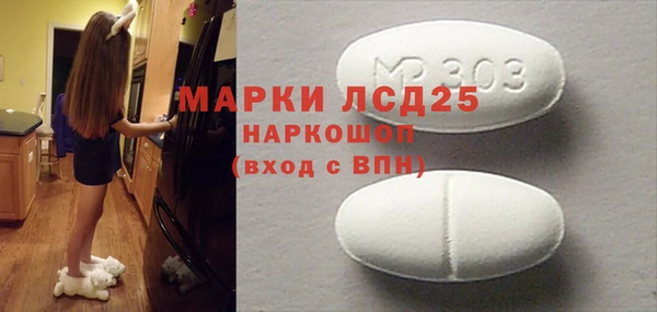 гидра Богданович