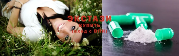 гидра Богданович