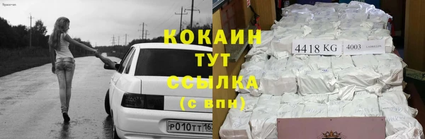 гидра Богданович