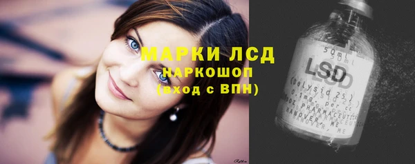 гидра Богданович