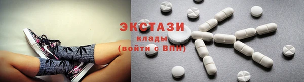 гидра Богданович