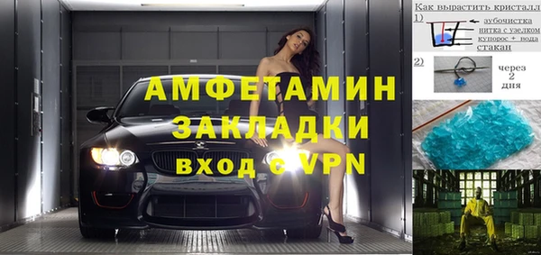 гидра Богданович